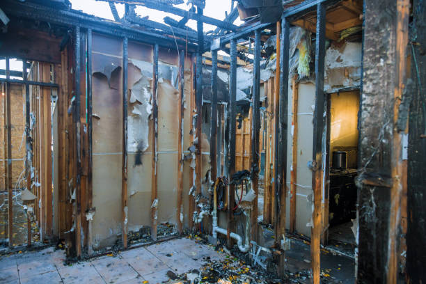 Professional Smoke Damage Removal technician working in Galesburg, MI